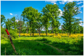 Platz 16 - 09 - Wahner Heide