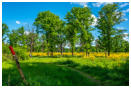 Platz 16 - 09 - Wahner Heide