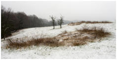 Platz 15 - 17-Schneelandschaft