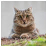 Platz 07 - 01-Aufmerksam