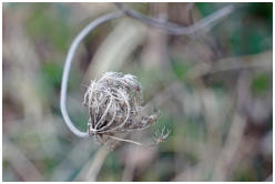 Platz - 04 - 16 Winterstarre