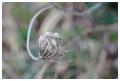 Platz - 04 - 16 Winterstarre