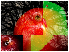 Platz 18-Nr. 19_Apfel mal anders