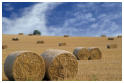 Platz 03-Nr. 16_Strohballen