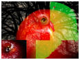 Platz 18-Nr. 19_Apfel mal anders