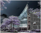 Platz 06 - 30 - Medienhaus Du Mont - Birgid