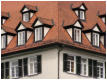 Platz 21 - 32 - Tübingen - Friederike