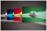 Platz 06 - 20 Evolution der Farben
