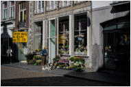 Blumenladen in der der Grote Gracht-Wolfgang