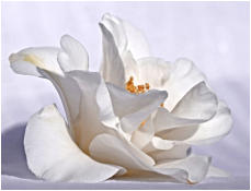 03 - Geheimnis-Bärbel