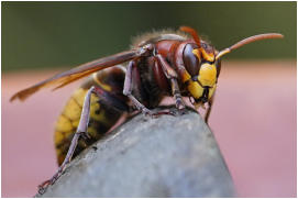 14 - Gipfelstürmerin-Bärbel