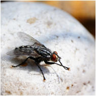 24 - Putztag-Bärbel