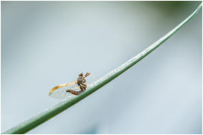 17 - Mühsamer Aufstieg-Birgid