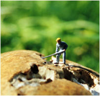 25 - Reifeprüfung-Friederike