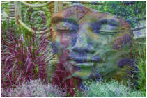 Platz 09 - 11 - Traum Welt